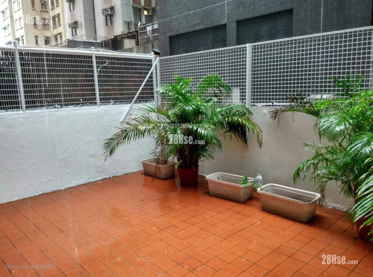 Hoi Kwong Court Rental 1 Bedroom 420 ft² ( 39.0 m² )