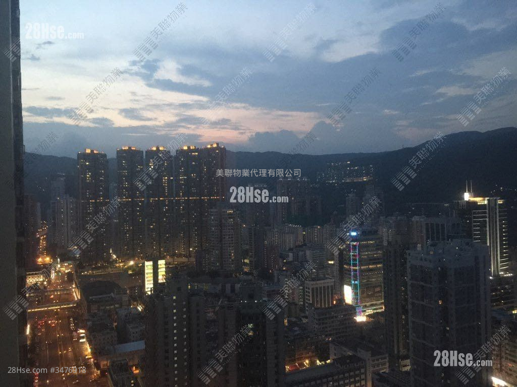 乐悠居 售盘 1 房 312 平方尺 ( 29.0 平方米 )