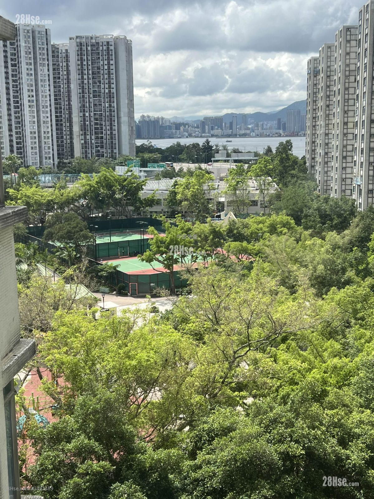 鲤景湾 售盘 666 平方尺 ( 61.9 平方米 )