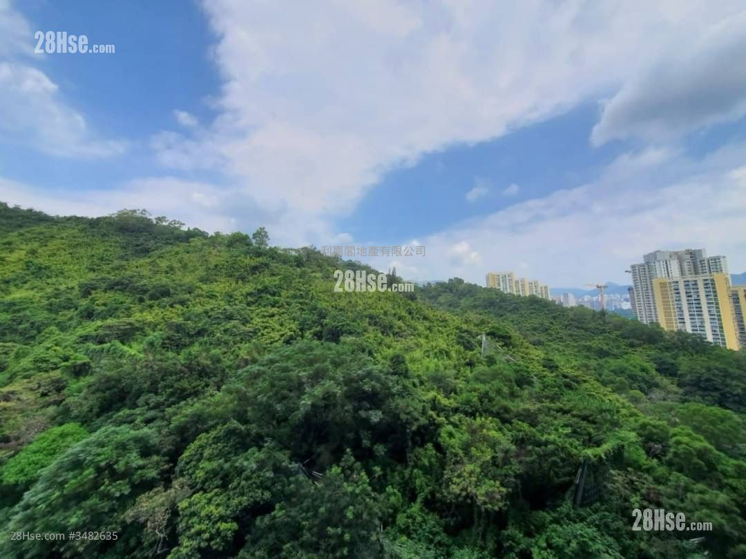 The Grand Marine Rental 1 Bedroom , 1 Bathroom 299 ft² ( 27.8 m² )