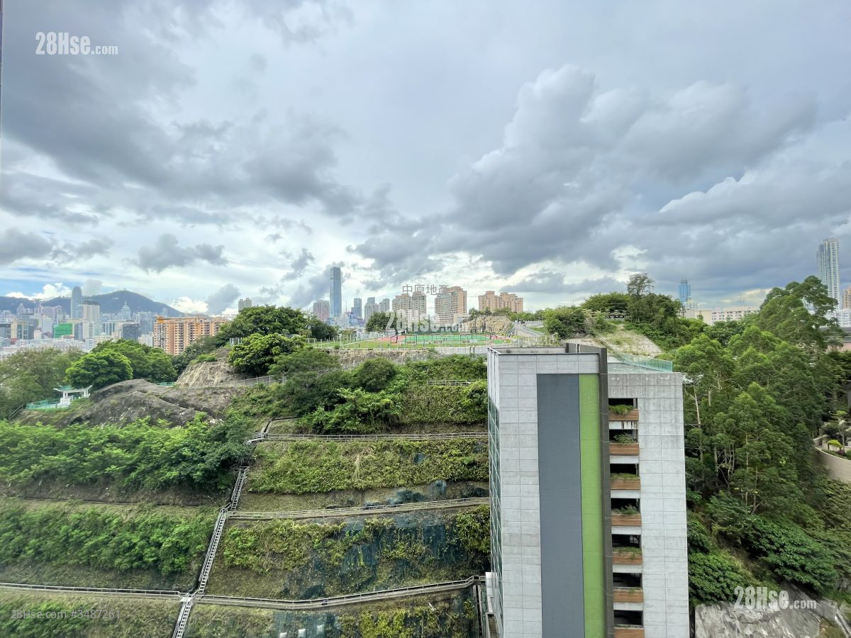 In One Rental 2 Bedrooms , 2 Bathrooms 576 ft² ( 53.5 m² )