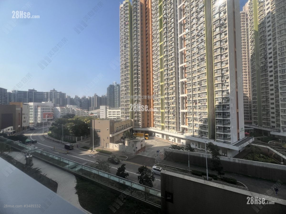 SAVANNAH 售盘 开放式间隔 330 平方尺 ( 30.7 平方米 )