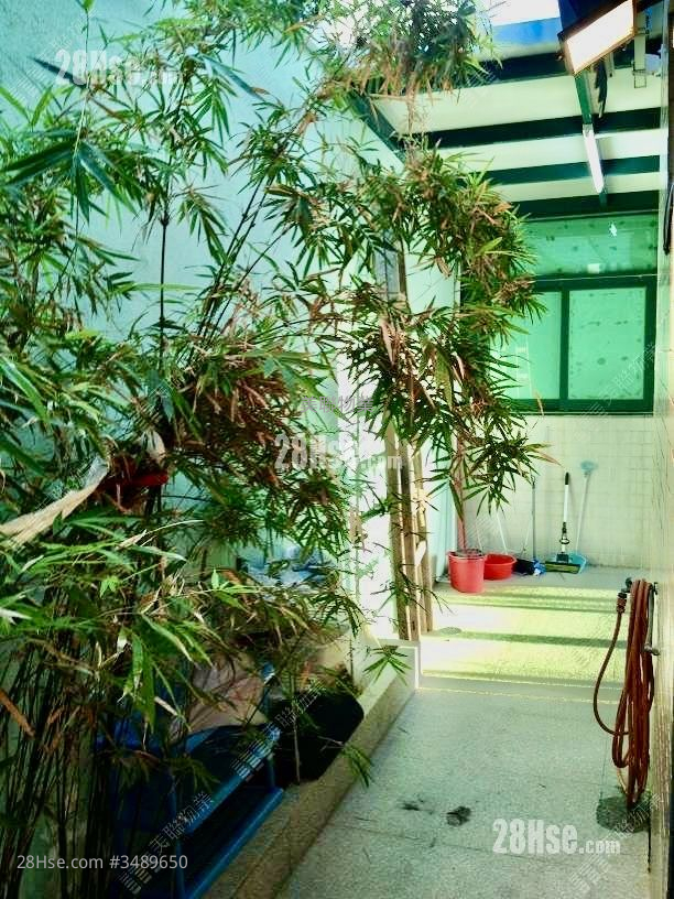 Casa Paradizo Sell 1,037 ft² ( 96.3 m² )