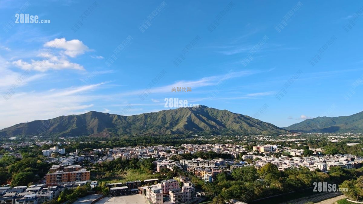 柏珑 租盘 453 平方尺 ( 42.1 平方米 )