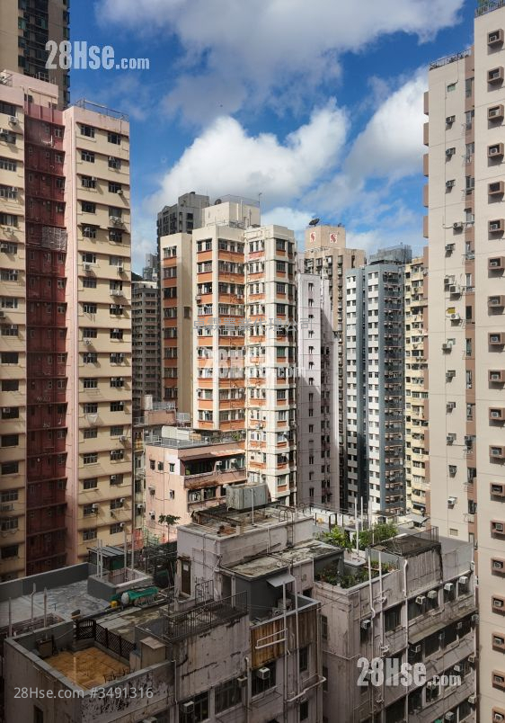 美新楼 租盘 开放式间隔 , 1 浴室 281 平方尺 ( 26.1 平方米 )