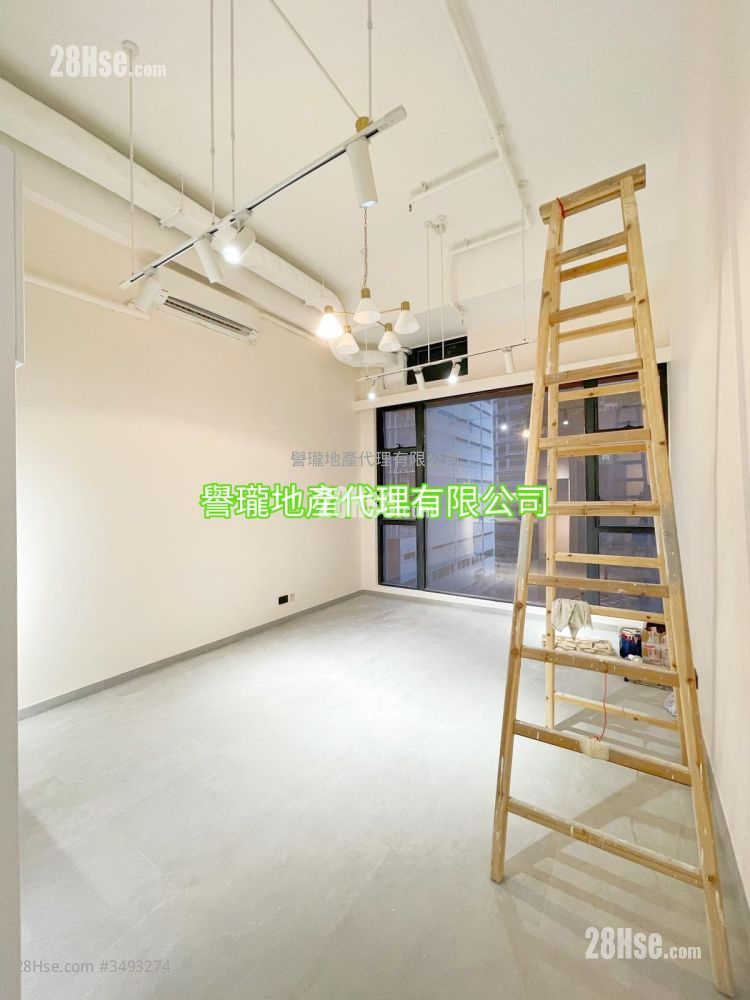 Dan6 Rental