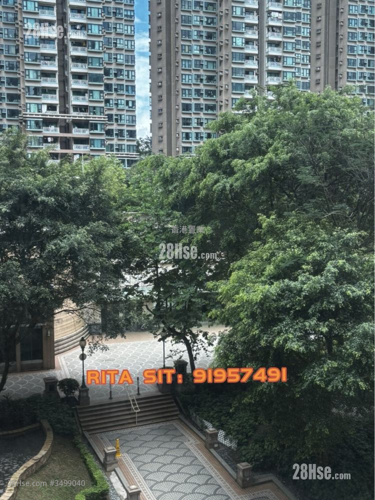 珀丽湾 租盘 2 房 , 1 浴室 537 平方尺 ( 49.9 平方米 )
