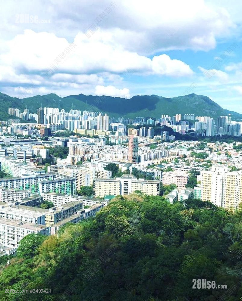景怡峰 售盘 1 房 269 平方尺 ( 25.0 平方米 )