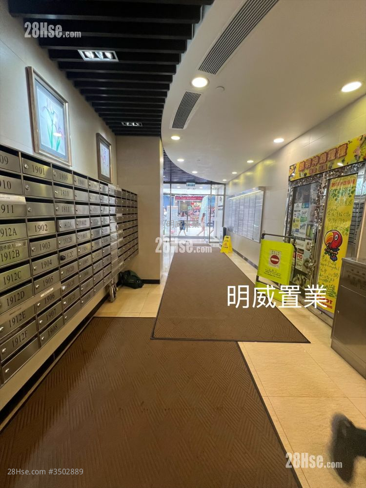 Witty Commercial Building Rental