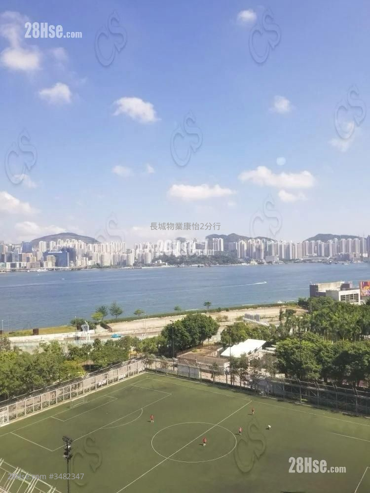 富景阁 租盘 开放式间隔 , 1 浴室 337 平方尺 ( 31.3 平方米 )