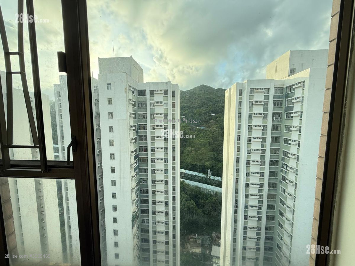Serenade Cove Rental 3 Bedrooms , 1 Bathroom 555 ft² ( 51.6 m² )