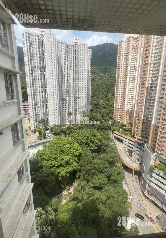 King Shan Court Sell 3 Bedrooms , 1 Bathroom 548 ft² ( 50.9 m² )