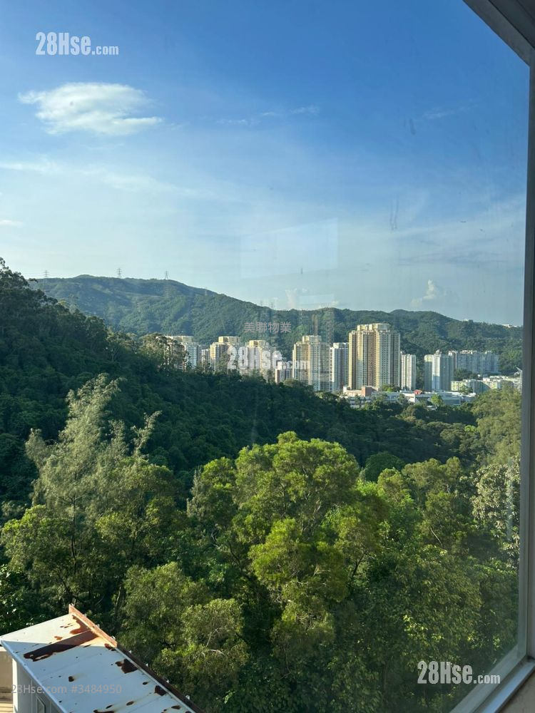 Royal Forest Sell 3 Bedrooms 1,195 ft² ( 111.0 m² )