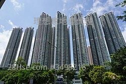 Metro Harbour View Rental