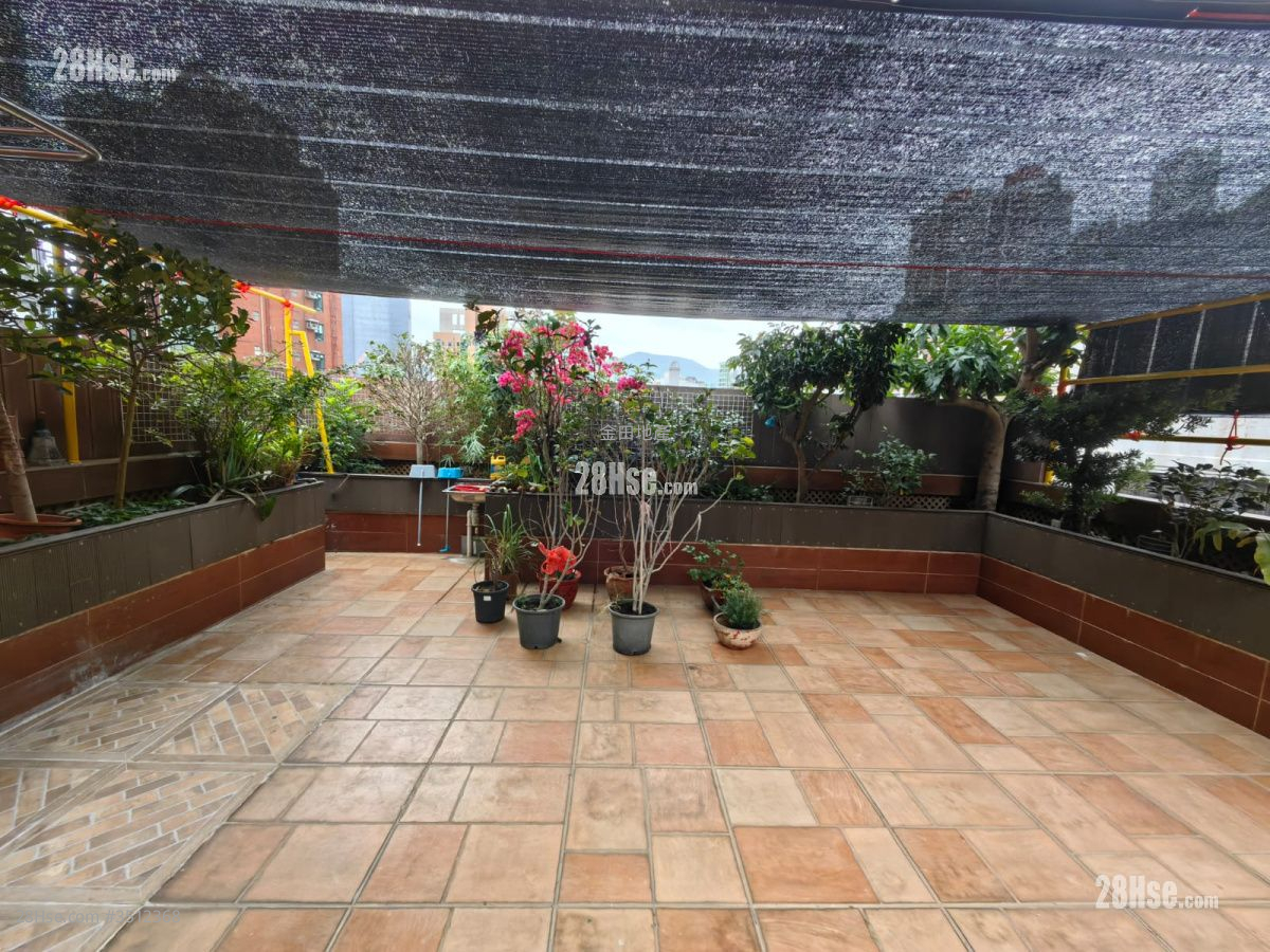 Phoenix Court Sell 4 Bedrooms , 2 Bathrooms 915 ft² ( 85.0 m² )