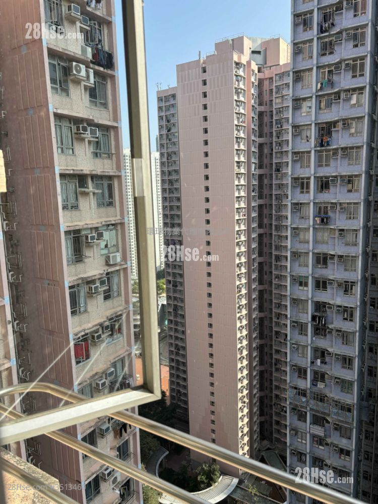 广明苑 售盘 3 房 , 1 浴室 594 平方尺 ( 55.2 平方米 )