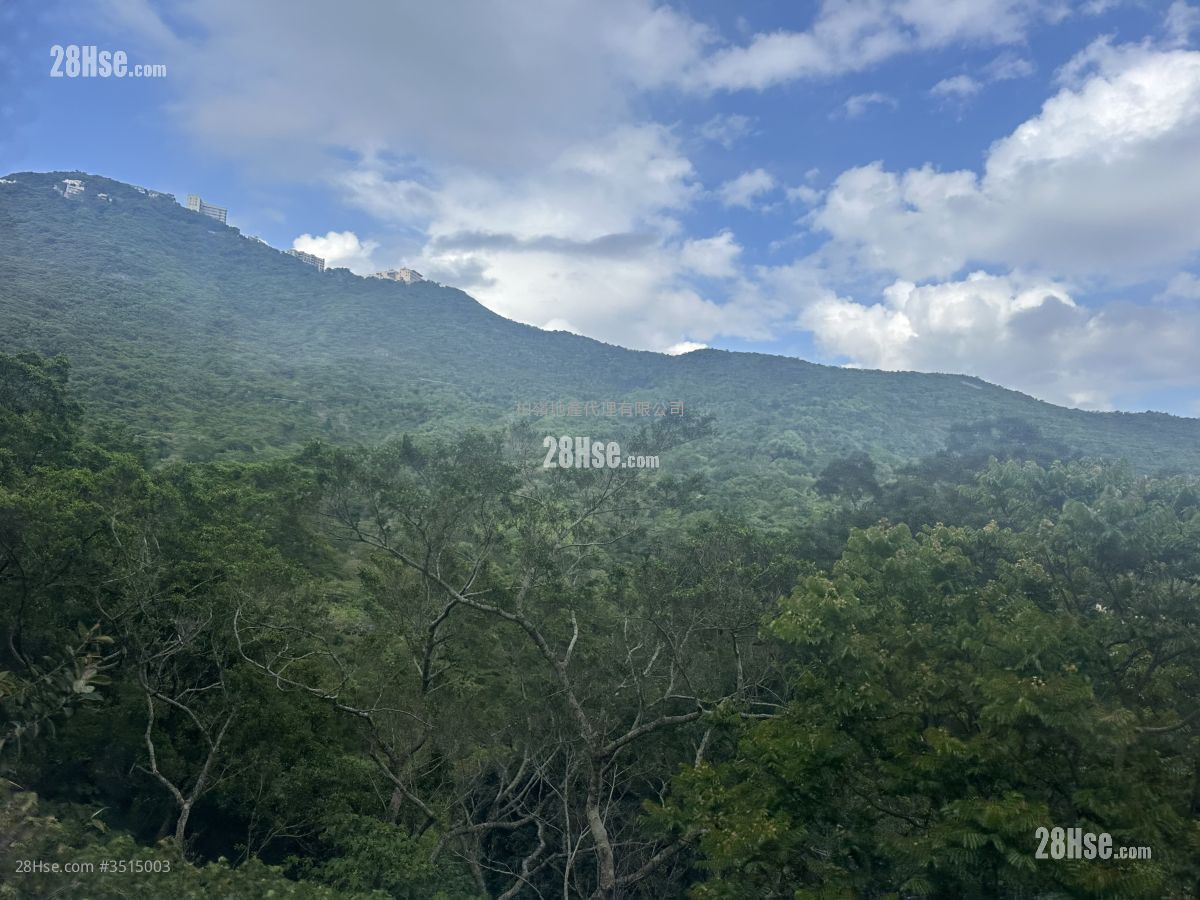 置富花园 售盘 2 房 , 1 浴室 439 平方尺 ( 40.8 平方米 )