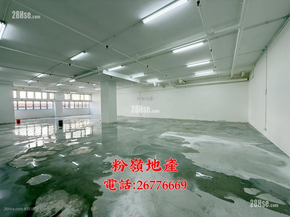 粉岭工贸大厦 租盘