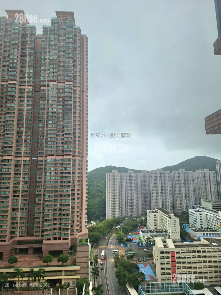 蓝湾半岛 租盘 2 房 , 1 浴室 455 平方尺 ( 42.3 平方米 )