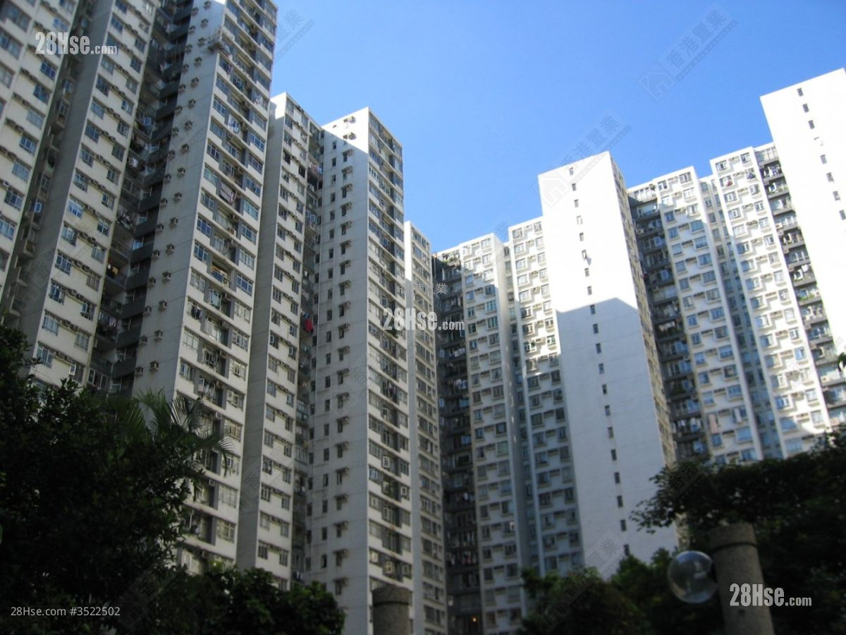 City Garden Rental 3 Bedrooms , 2 Bathrooms 906 ft² ( 84.2 m² )
