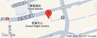 金马伦道14B号  物业地址