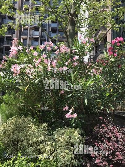 Wetland Seasons Park 售盘 2 房 435 平方尺 ( 40.4 平方米 )