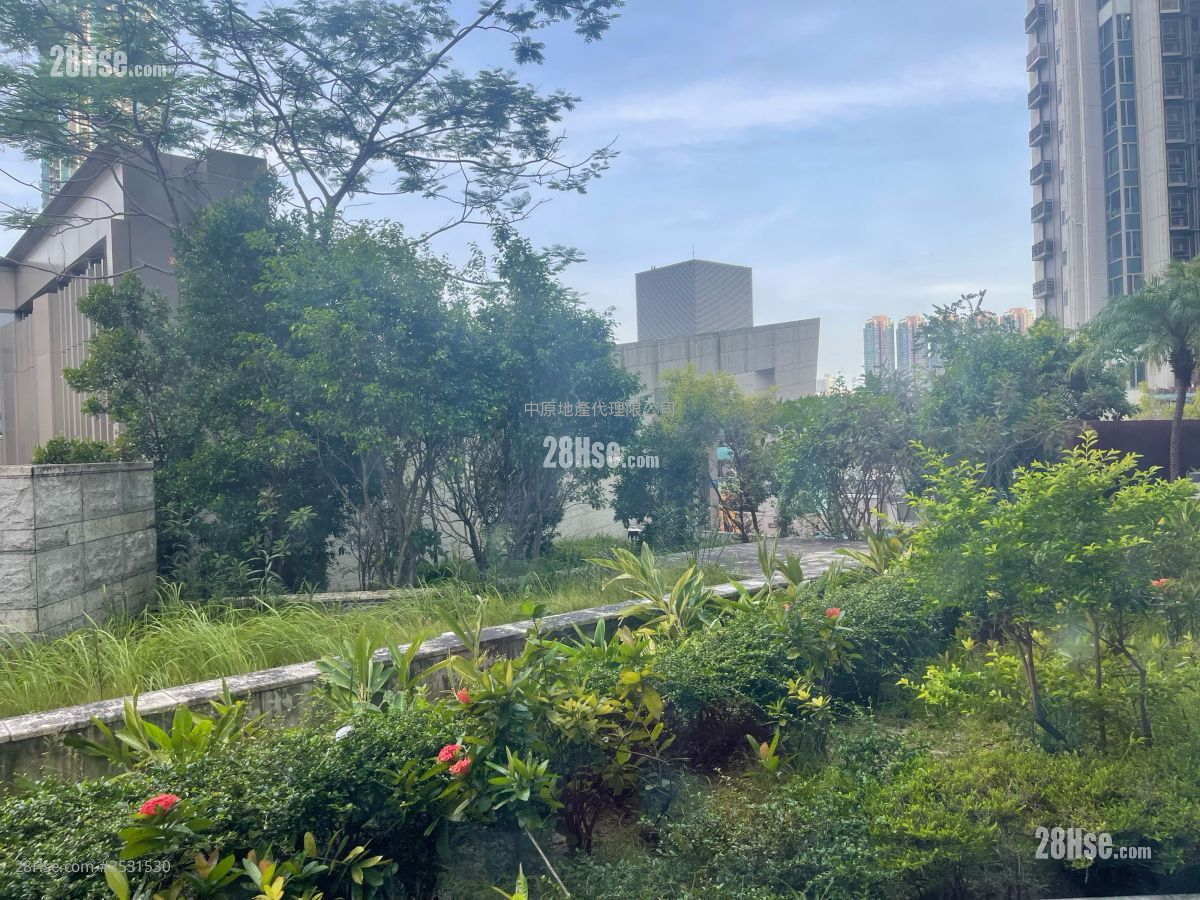 景观