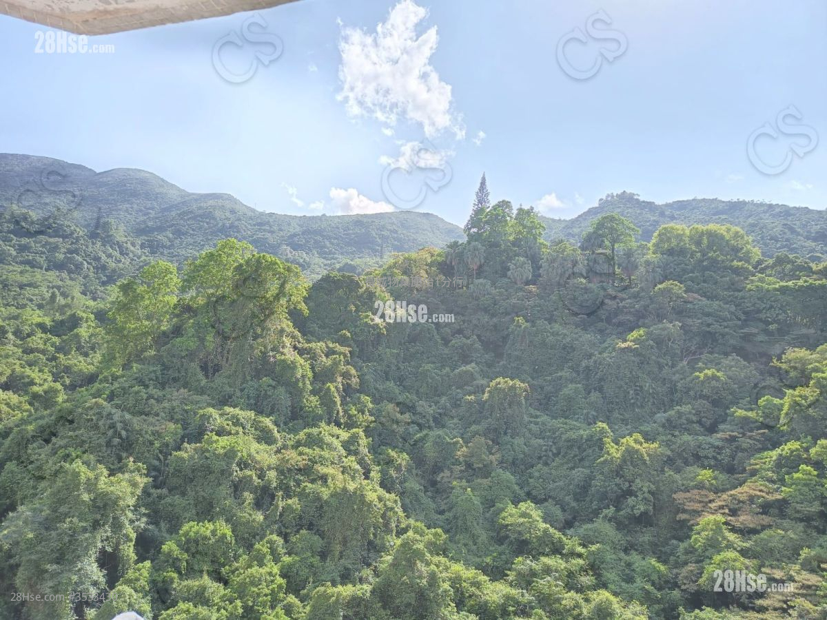 Mount Parker Lodge Sell 4 Bedrooms , 3 Bathrooms 847 ft² ( 78.7 m² )