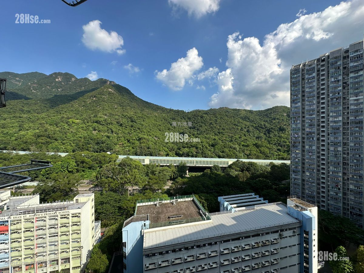 Hang On House Sell Studio , 1 Bathroom 354 ft² ( 32.9 m² )