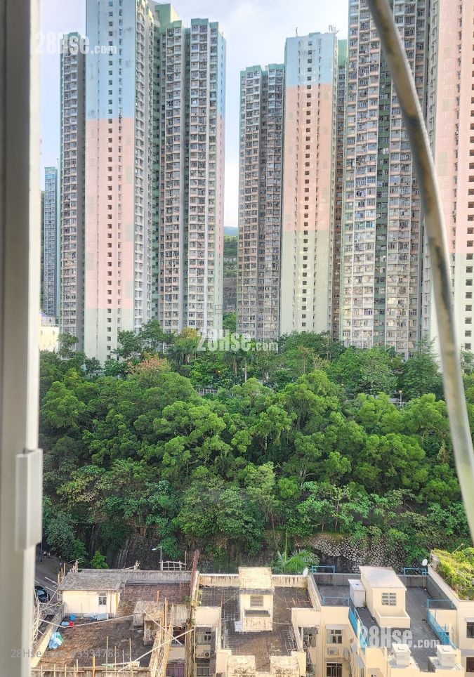 Sai Wan Court Rental 2 Bedrooms , 1 Bathroom 271 ft² ( 25.2 m² )