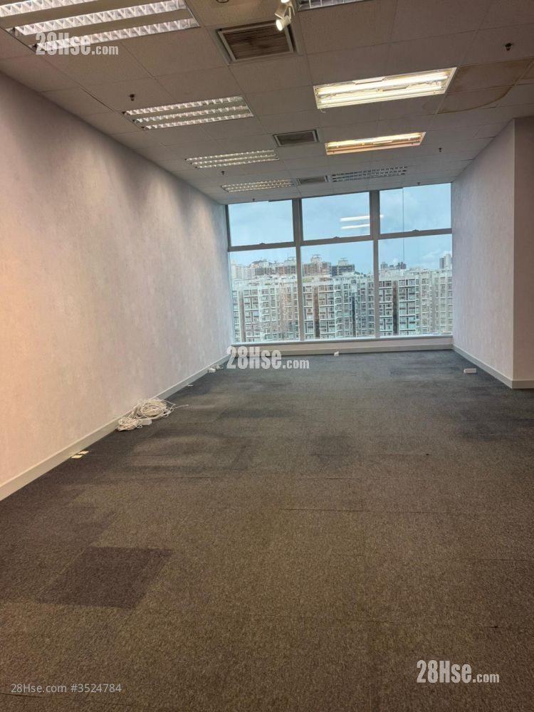 King Palace Plaza Rental