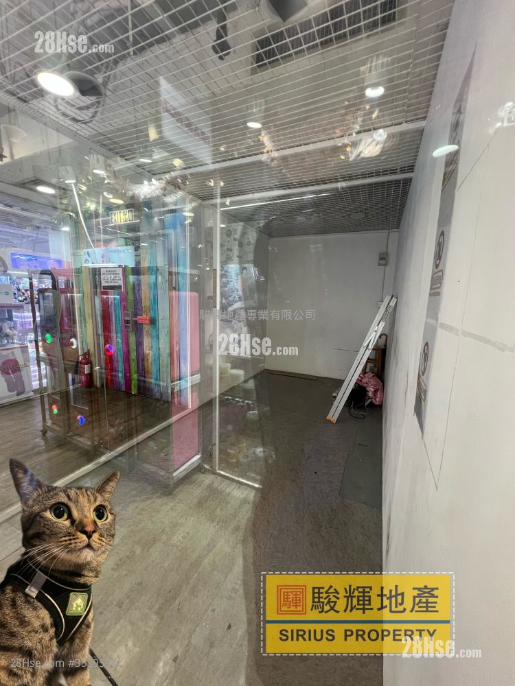 西九龙中心 租盘 开放式间隔