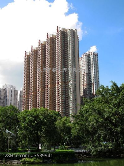 栢慧豪园 租盘 3 房 , 2 浴室 681 平方尺 ( 63.3 平方米 )