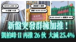 新盘群拥加推 Blue Coast II加推56伙  ｜凯柏峰II推26伙大减25.4%｜NOVO LAND第3A期加推5号价单