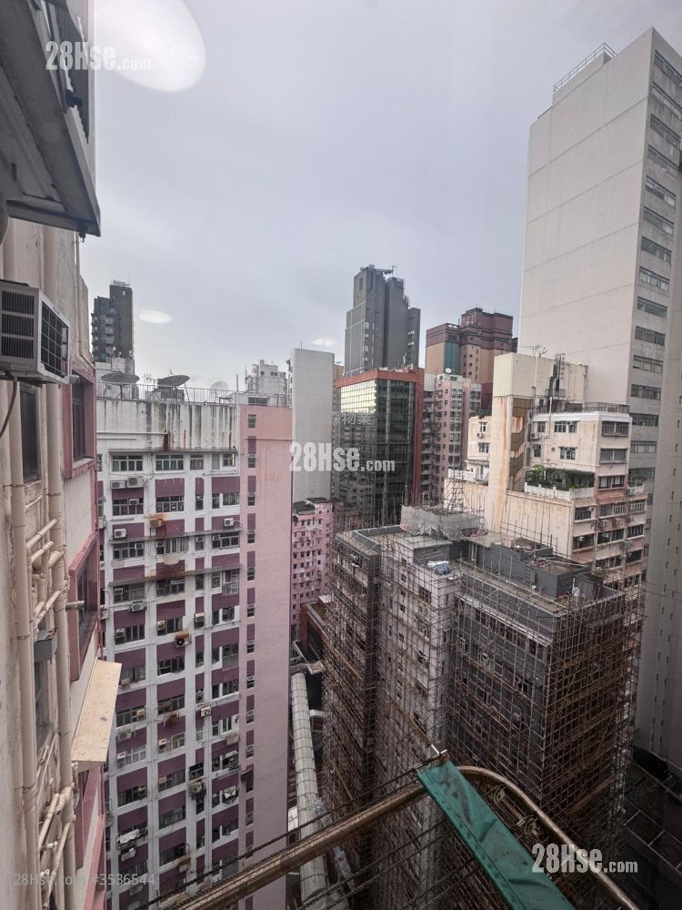 King Man Court Rental 2 Bedrooms , 1 Bathroom 517 ft² ( 48.0 m² )