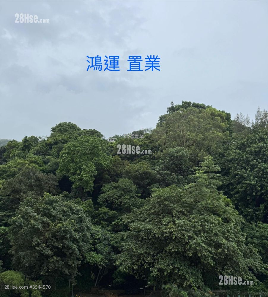 富宁花园 租盘 2 房 , 1 浴室 495 平方尺 ( 46.0 平方米 )