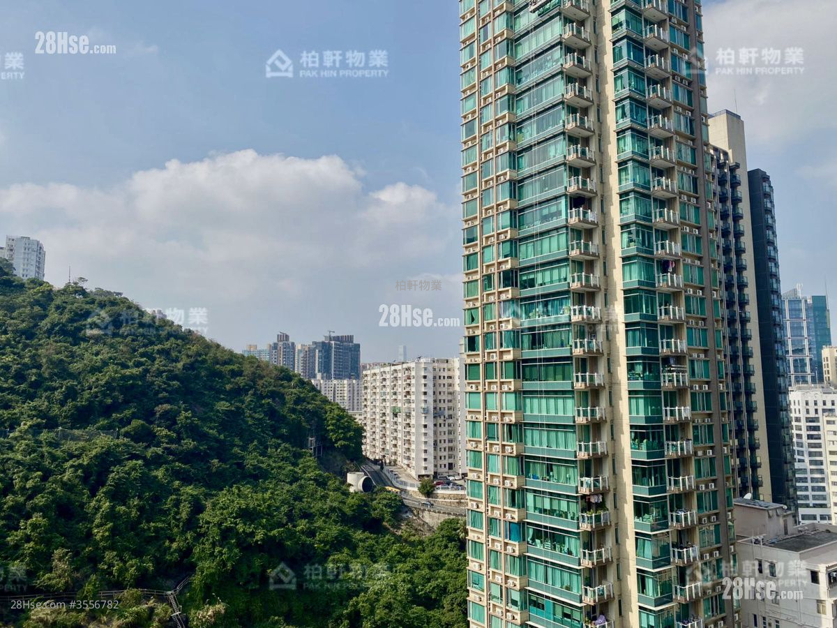 英丽阁 售盘 2 房 , 1 浴室 515 平方尺 ( 47.8 平方米 )