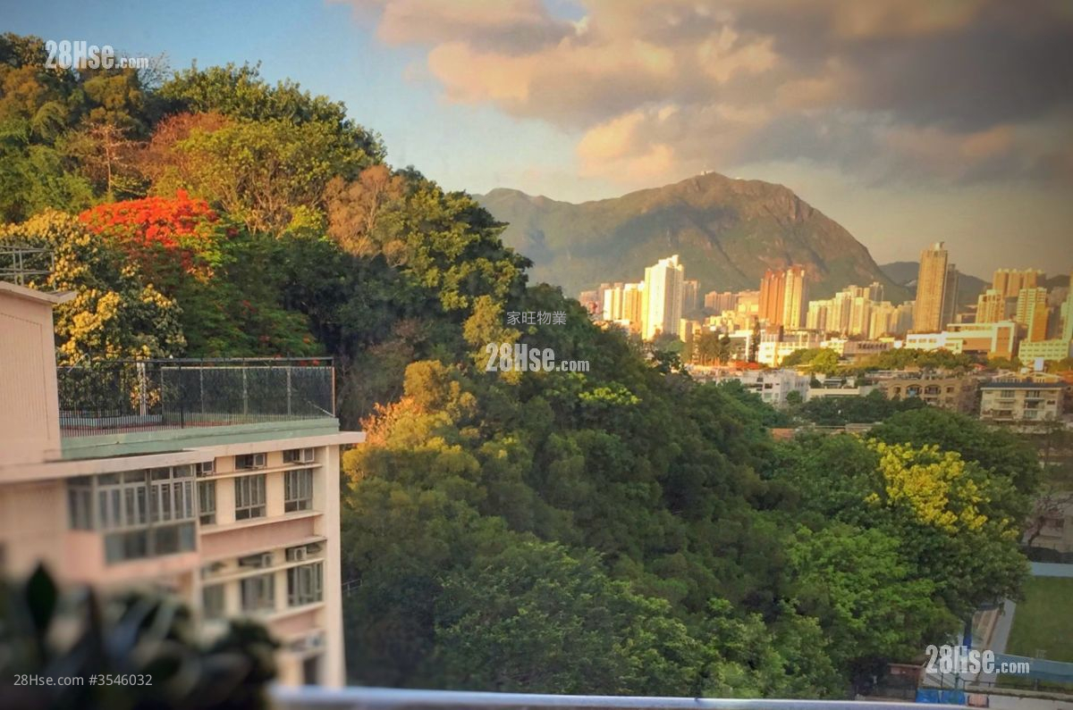 Chung Ching Building Sell 1 Bedroom , 1 Bathroom 292 ft² ( 27.1 m² )