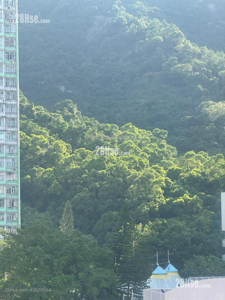 筲箕湾广场 租盘 445 平方尺 ( 41.3 平方米 )