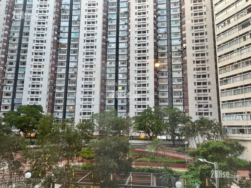 New Wealth Mansion Sell 1 Bedroom , 1 Bathroom 351 ft² ( 32.6 m² )