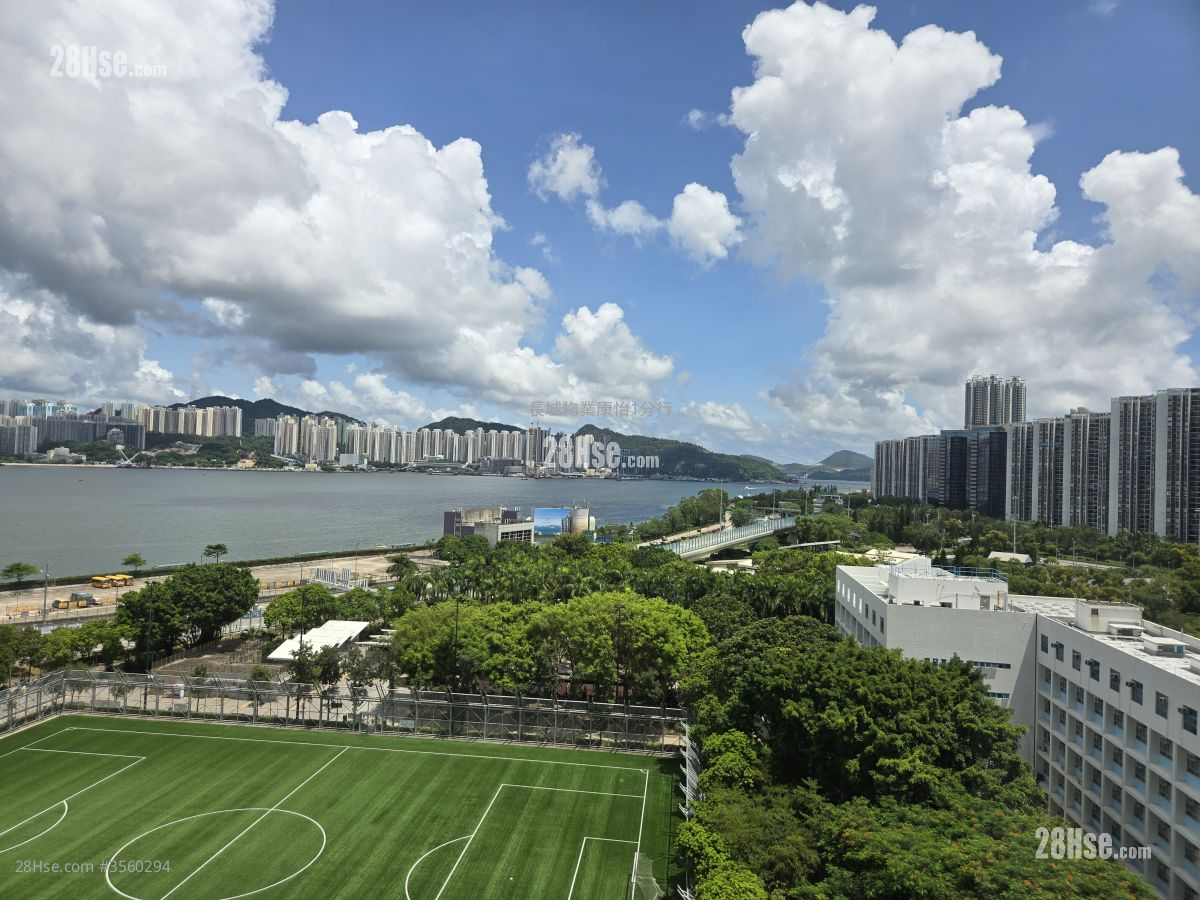 富景阁 租盘 1 房 , 1 浴室 337 平方尺 ( 31.3 平方米 )
