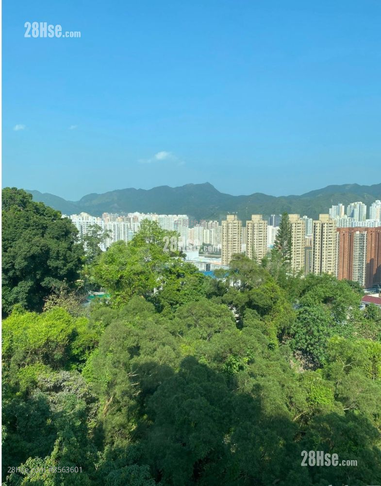 晓翠山庄 售盘 3 房 817 平方尺 ( 75.9 平方米 )
