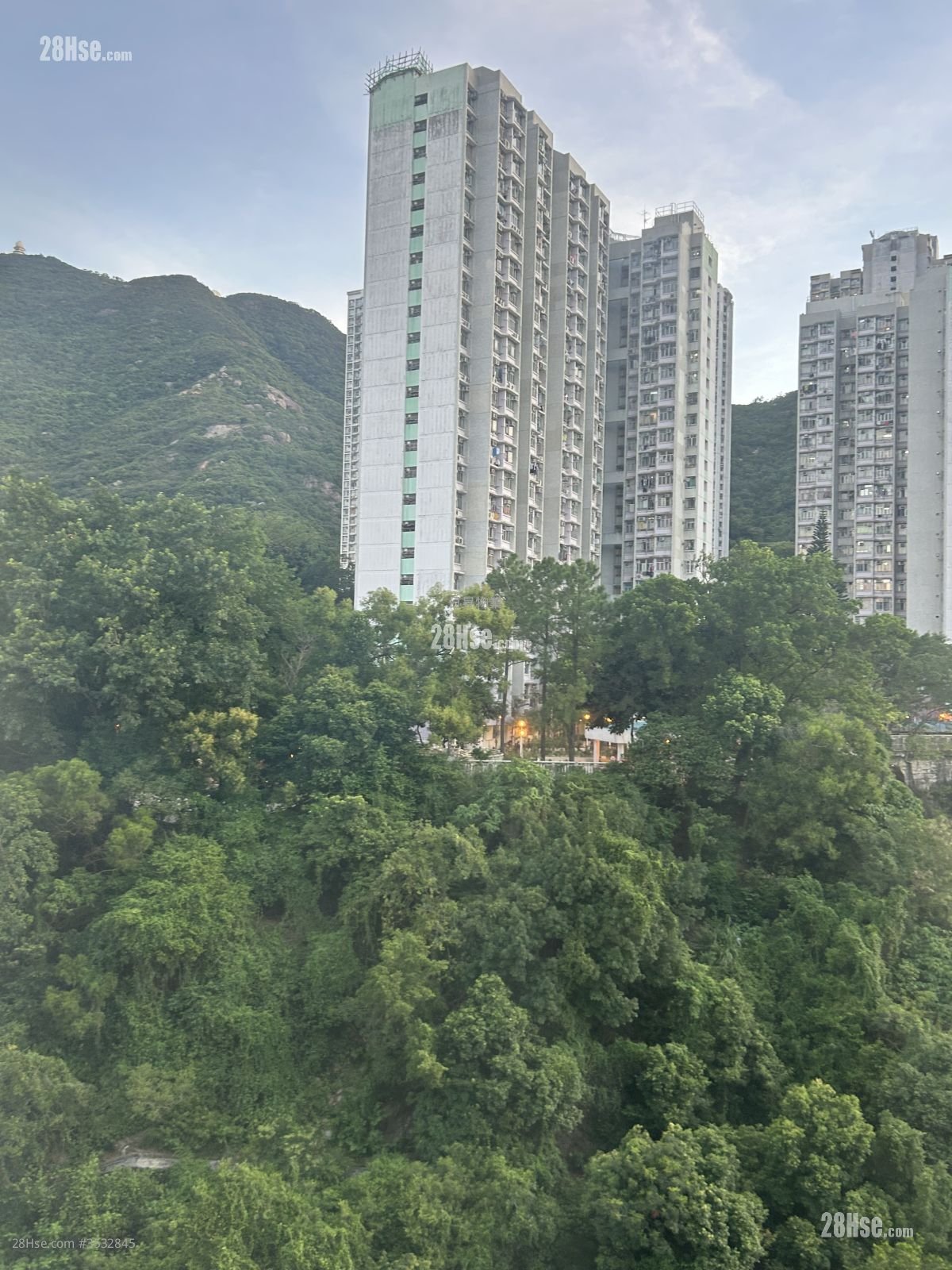 碧丽阁 租盘 1 房 , 1 浴室 272 平方尺 ( 25.3 平方米 )