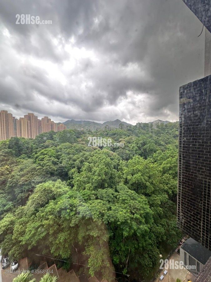 Belair Gardens Rental 3 Bedrooms , 1 Bathroom 560 ft² ( 52.0 m² )