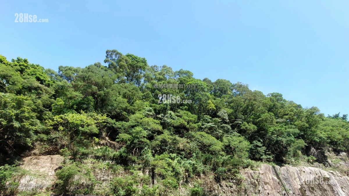 Kornhill Rental 2 Bedrooms , 1 Bathroom 524 ft² ( 48.7 m² ) Kornhill Rental 2 Bedrooms , 1 Bathroom 524 ft² ( 48.7 m² )