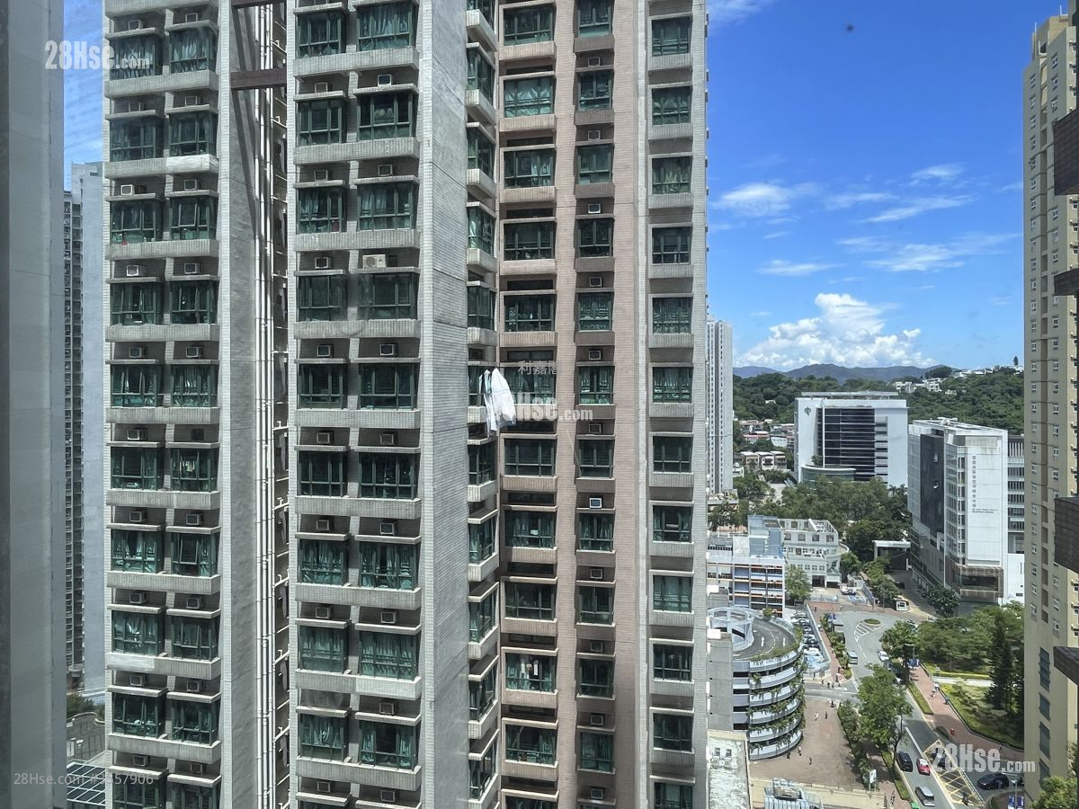 东港城 租盘 2 房 , 1 浴室 463 平方尺 ( 43.0 平方米 )