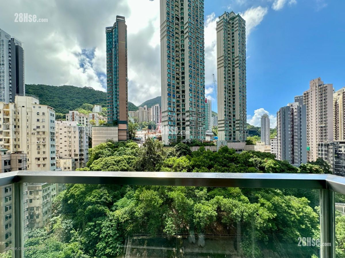 开扬景观
