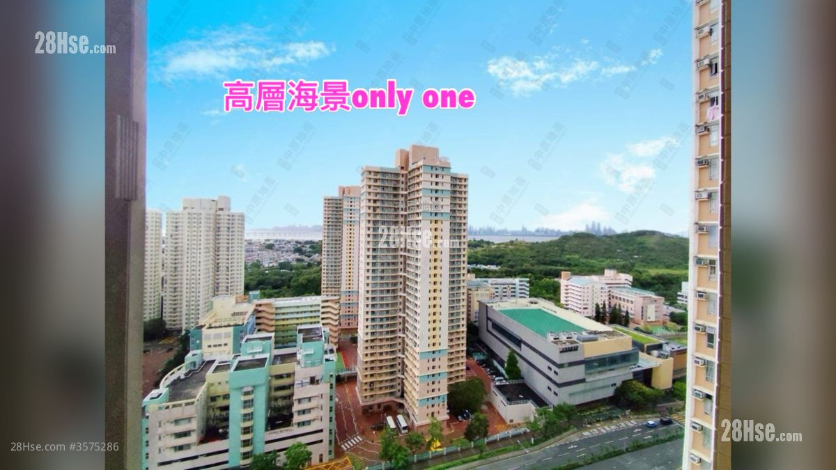 天富苑 售盘 3 房 650 平方尺 ( 60.4 平方米 )