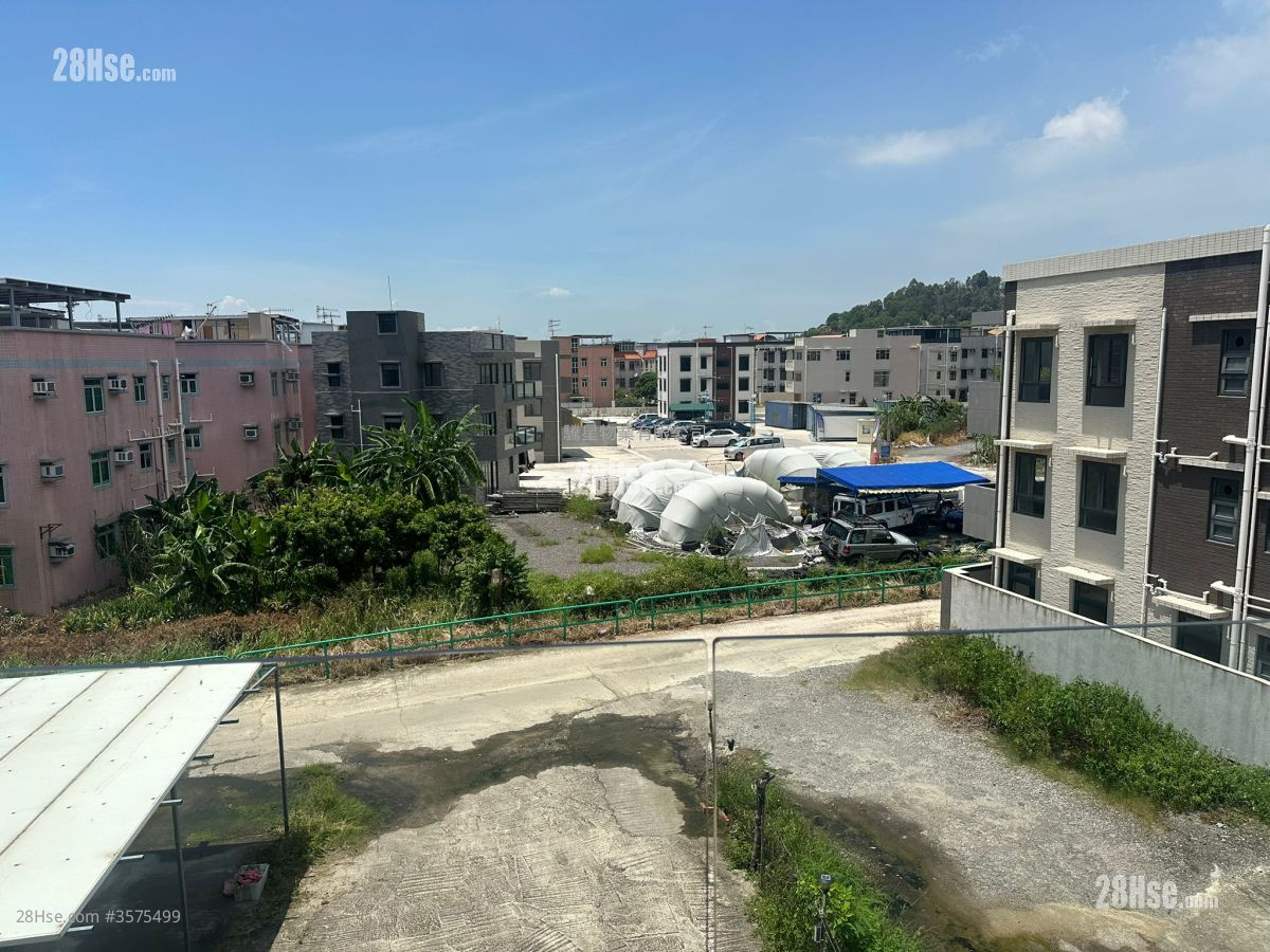 龙鼓滩 售盘 3 房 , 1 浴室 700 平方尺 ( 65.0 平方米 )