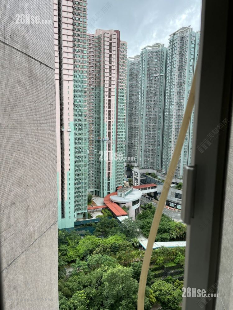 King Lam Estate Sell 1 Bathroom 153 ft² ( 14.2 m² )